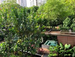 Commonwealth Towers (D3), Condominium #485612921